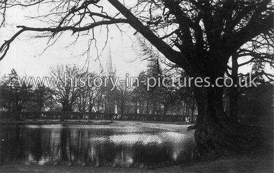 The Green and Pond, Buckhurst Hill, Essex. c.1908